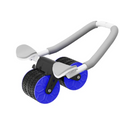 Fashion Fitness Roller